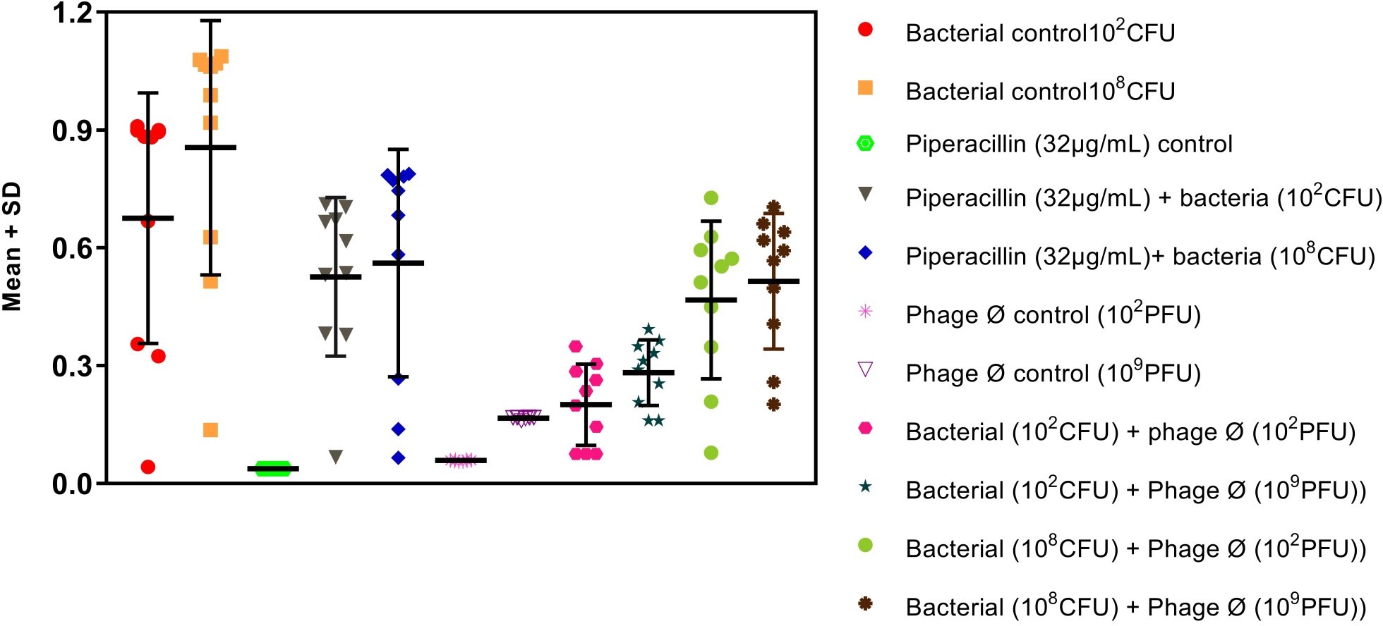 bacteriophage